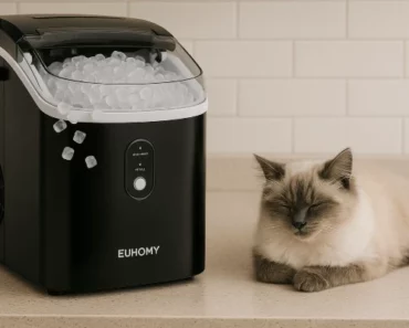 Euhomy IM-12 Review: Trusted Review by Technician in 2025