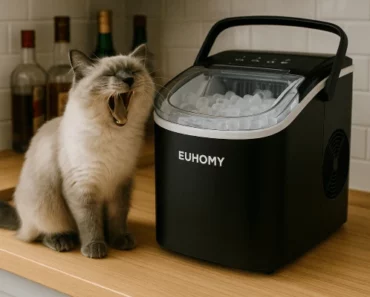 Euhomy IM-06 Review: Trusted Review by Technician in 2025