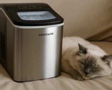 Frigidaire EFIC121 Review: Trusted Review by Technician in 2025