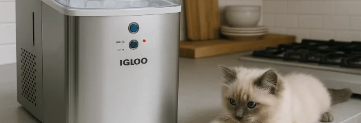 Igloo ICEB33 Review: Trusted Review by Technician in 2025
