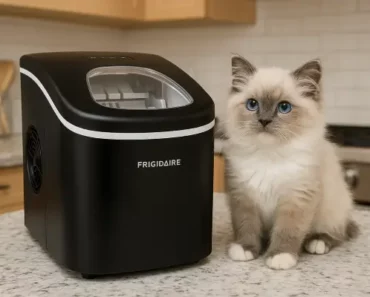 Frigidaire EFIC101 Review: Trusted Review by Technician in 2025
