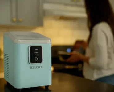 Igloo IGLICEB26 Review: Trusted Review by Technician in 2025
