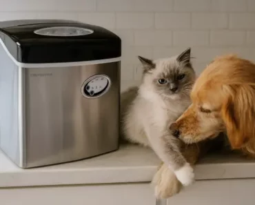 Frigidaire EFIC115 Review: Trusted Review by Technician in 2025