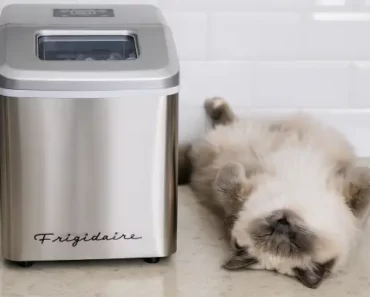 Frigidaire EFIC452-SS Review: Trusted Review by Technician in 2025